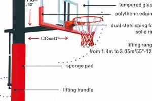 Middle School Basketball Hoops: Regulation Height Best Schools in America: Top Public & Private Options Middle School Basketball Hoops: Regulation Height | Best Schools in America: Top Public & Private Options