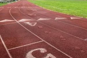 Pelham High School Track & Field: Home of the Pelicans Best Schools in America: Top Public & Private Options Pelham High School Track & Field: Home of the Pelicans | Best Schools in America: Top Public & Private Options