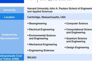 Top Engineering Schools in NY State: 2024 Guide Best Schools in America: Top Public & Private Options Top Engineering Schools in NY State: 2024 Guide | Best Schools in America: Top Public & Private Options