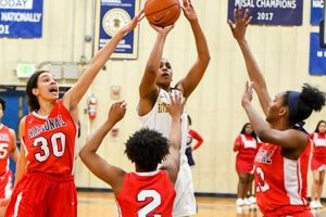 Top WV High School Basketball Rankings 2024 Best Schools in America: Top Public & Private Options Top WV High School Basketball Rankings 2024 | Best Schools in America: Top Public & Private Options