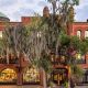 Top US Art Schools & Programs 2024 | Best Schools in America: Top Public & Private Options