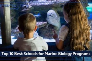 Top US Marine Biology Schools & Programs Best Schools in America: Top Public & Private Options Top US Marine Biology Schools & Programs | Best Schools in America: Top Public & Private Options