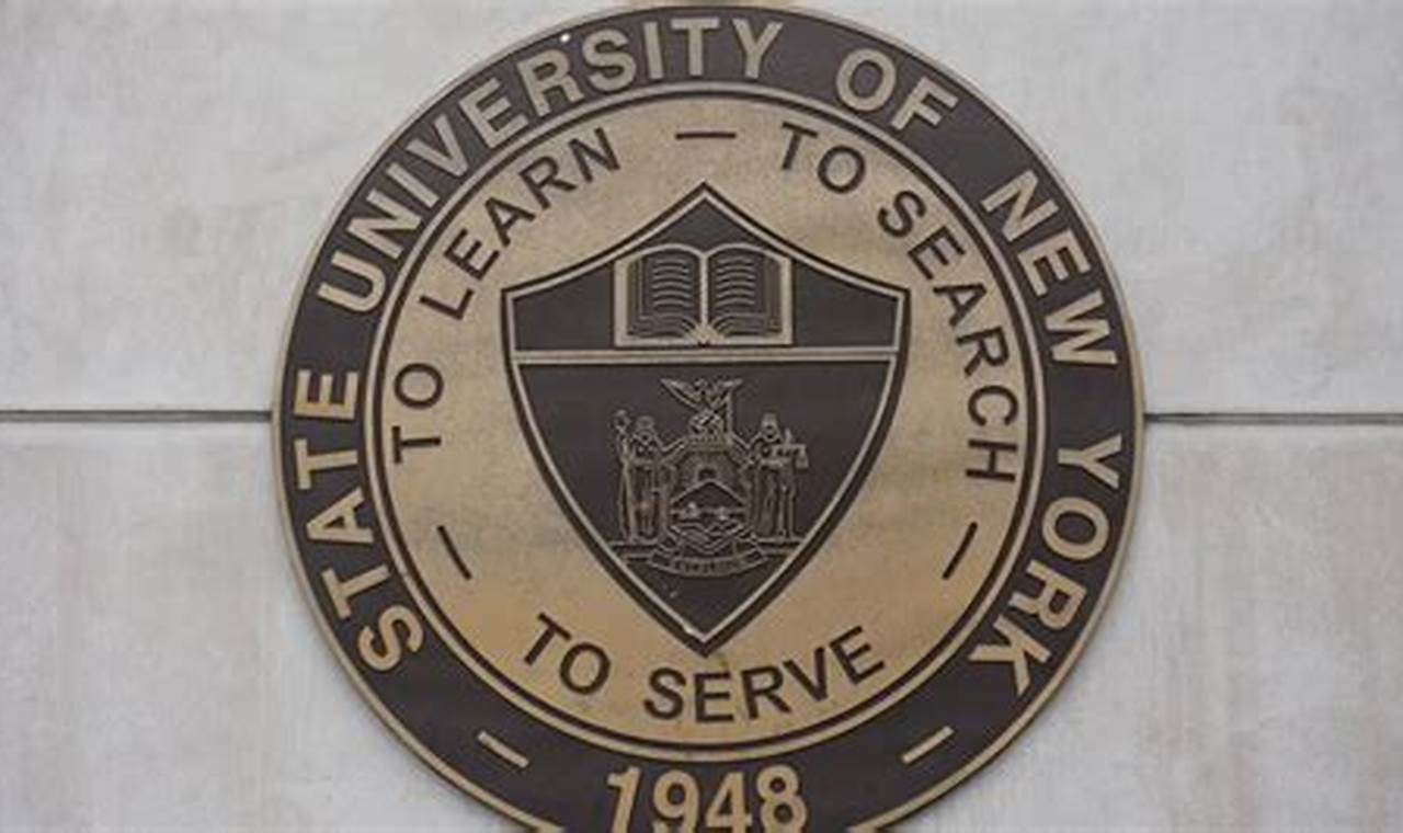 Top 10 Best SUNY Schools & Colleges 2024 Best Schools in America: Top Public & Private Options Top 10 Best SUNY Schools & Colleges 2024 | Best Schools in America: Top Public & Private Options