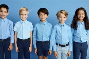 Best School Picture Outfits: Colors for Blue Backgrounds Best Schools in America: Top Public & Private Options Best School Picture Outfits: Colors for Blue Backgrounds | Best Schools in America: Top Public & Private Options