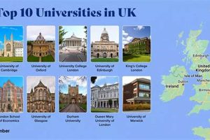 Top UK Law Schools: 2024 Rankings Best Schools in America: Top Public & Private Options Top UK Law Schools: 2024 Rankings | Best Schools in America: Top Public & Private Options