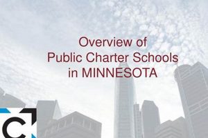 Find the Best Charter Schools in MN Today! Best Schools in America: Top Public & Private Options Find the Best Charter Schools in MN Today! | Best Schools in America: Top Public & Private Options