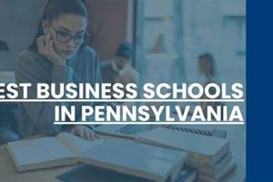 Top Best Business Schools in PA Guide Best Schools in America: Top Public & Private Options Top Best Business Schools in PA Guide | Best Schools in America: Top Public & Private Options