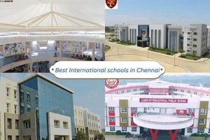 Top International Schools in Chennai 2024 Best Schools in America: Top Public & Private Options Top International Schools in Chennai 2024 | Best Schools in America: Top Public & Private Options