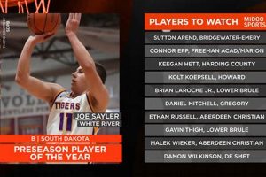 Top South Dakota High School Basketball Player Rankings Best Schools in America: Top Public & Private Options Top South Dakota High School Basketball Player Rankings | Best Schools in America: Top Public & Private Options