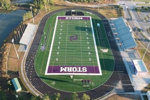 High School Football Celebration: Joy & Pride Best Schools in America: Top Public & Private Options High School Football Celebration: Joy & Pride | Best Schools in America: Top Public & Private Options