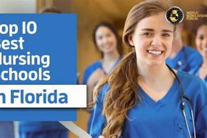 Top 10 Best Nursing Schools in Florida 2024 Best Schools in America: Top Public & Private Options Top 10 Best Nursing Schools in Florida 2024 | Best Schools in America: Top Public & Private Options