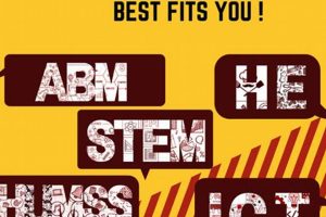 Choosing the Right Senior High School Strand for You Best Schools in America: Top Public & Private Options Choosing the Right Senior High School Strand for You | Best Schools in America: Top Public & Private Options