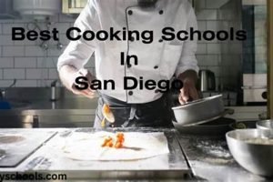 Top Culinary Schools in San Diego: 2024 Guide Best Schools in America: Top Public & Private Options Top Culinary Schools in San Diego: 2024 Guide | Best Schools in America: Top Public & Private Options