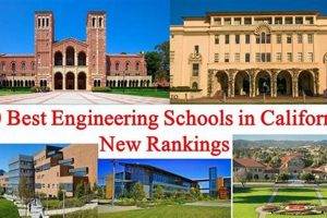 Top Tech Schools in California: 2024 Guide Best Schools in America: Top Public & Private Options Top Tech Schools in California: 2024 Guide | Best Schools in America: Top Public & Private Options