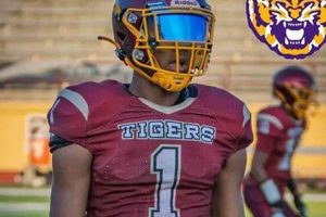 Terrebonne High Football: Home of the Tigers Best Schools in America: Top Public & Private Options Terrebonne High Football: Home of the Tigers | Best Schools in America: Top Public & Private Options