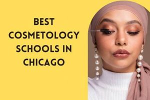 Best Cosmetology Schools Chicago Best Schools in America: Top Public & Private Options Best Cosmetology Schools Chicago | Best Schools in America: Top Public & Private Options