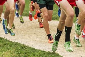 MO High School Cross Country Results & Standings Best Schools in America: Top Public & Private Options MO High School Cross Country Results & Standings | Best Schools in America: Top Public & Private Options