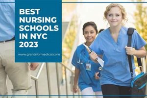 Top CUNY Nursing Schools in NYC: 2024 Guide Best Schools in America: Top Public & Private Options Top CUNY Nursing Schools in NYC: 2024 Guide | Best Schools in America: Top Public & Private Options