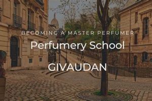 Top Perfumery Schools In The World: 2024 Guide Best Schools in America: Top Public & Private Options Top Perfumery Schools In The World: 2024 Guide | Best Schools in America: Top Public & Private Options