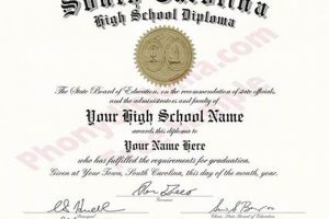 Get Your SC High School Diploma Copy Now Best Schools in America: Top Public & Private Options Get Your SC High School Diploma Copy Now | Best Schools in America: Top Public & Private Options