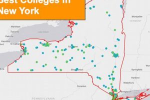 Top Best State Schools in NY: A Guide Best Schools in America: Top Public & Private Options Top Best State Schools in NY: A Guide | Best Schools in America: Top Public & Private Options