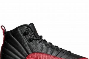 Best Air Jordan Retro 12 GS Basketball Shoes Best Schools in America: Top Public & Private Options Best Air Jordan Retro 12 GS Basketball Shoes | Best Schools in America: Top Public & Private Options