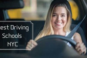 Top 5 Best Driving Schools in NYC 2024 Best Schools in America: Top Public & Private Options Top 5 Best Driving Schools in NYC 2024 | Best Schools in America: Top Public & Private Options