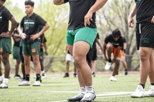 Naaman Forest HS Football: A Texas Gridiron Legacy Best Schools in America: Top Public & Private Options Naaman Forest HS Football: A Texas Gridiron Legacy | Best Schools in America: Top Public & Private Options