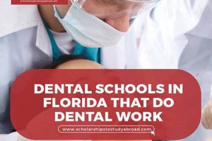 Top Dental Schools in Florida 2024 Best Schools in America: Top Public & Private Options Top Dental Schools in Florida 2024 | Best Schools in America: Top Public & Private Options