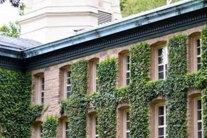 Top Ivy League Med Schools: 2024 Guide Best Schools in America: Top Public & Private Options Top Ivy League Med Schools: 2024 Guide | Best Schools in America: Top Public & Private Options