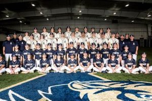 Arlington High School Baseball: A Thriving Program Best Schools in America: Top Public & Private Options Arlington High School Baseball: A Thriving Program | Best Schools in America: Top Public & Private Options