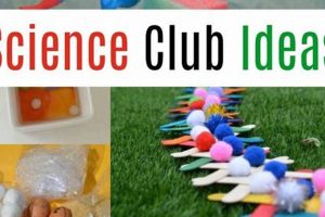 Science Club Activities For Elementary School Best Schools in America: Top Public & Private Options Science Club Activities For Elementary School | Best Schools in America: Top Public & Private Options