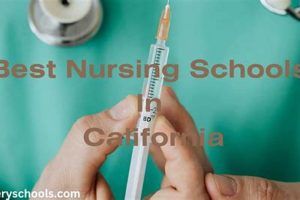 Top Cal State Nursing Schools: 2024 Guide Best Schools in America: Top Public & Private Options Top Cal State Nursing Schools: 2024 Guide | Best Schools in America: Top Public & Private Options
