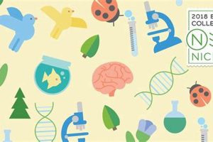 Top Niche Biology Schools & Programs Best Schools in America: Top Public & Private Options Top Niche Biology Schools & Programs | Best Schools in America: Top Public & Private Options