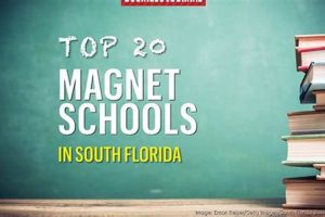 Top Miami Magnet Schools: A Parent's Guide Best Schools in America: Top Public & Private Options Top Miami Magnet Schools: A Parent's Guide | Best Schools in America: Top Public & Private Options
