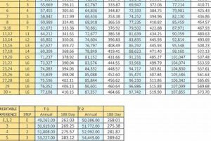2024 Paulding County Schools Salary Schedule Guide Best Schools in America: Top Public & Private Options 2024 Paulding County Schools Salary Schedule Guide | Best Schools in America: Top Public & Private Options