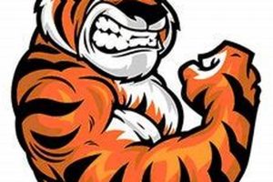 Elkins WV High School Football: Home of the Tigers Best Schools in America: Top Public & Private Options Elkins WV High School Football: Home of the Tigers | Best Schools in America: Top Public & Private Options