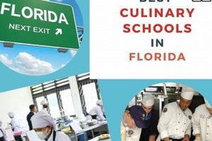 Top 5 Cooking Schools in Florida 2024 Best Schools in America: Top Public & Private Options Top 5 Cooking Schools in Florida 2024 | Best Schools in America: Top Public & Private Options