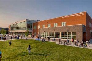 Understanding Upper Elementary: A Guide for Parents Best Schools in America: Top Public & Private Options Understanding Upper Elementary: A Guide for Parents | Best Schools in America: Top Public & Private Options