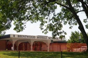 Top-Rated Middle Schools in Tennessee 2024 Best Schools in America: Top Public & Private Options Top-Rated Middle Schools in Tennessee 2024 | Best Schools in America: Top Public & Private Options