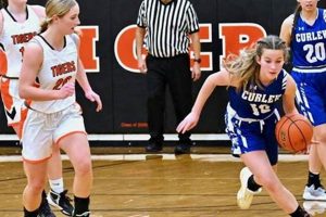 WA High School Girls Basketball Season Best Schools in America: Top Public & Private Options WA High School Girls Basketball Season | Best Schools in America: Top Public & Private Options