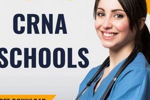 Top 5 Best CRNA Schools: 2024 Rankings Best Schools in America: Top Public & Private Options Top 5 Best CRNA Schools: 2024 Rankings | Best Schools in America: Top Public & Private Options