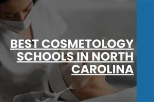 Top Esthetician Schools in NC: 2024 Guide Best Schools in America: Top Public & Private Options Top Esthetician Schools in NC: 2024 Guide | Best Schools in America: Top Public & Private Options