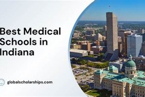 Top Medical Schools in Indiana: 2024 Guide Best Schools in America: Top Public & Private Options Top Medical Schools in Indiana: 2024 Guide | Best Schools in America: Top Public & Private Options