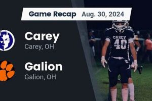 Go Carey Seahawks! High School Football News Best Schools in America: Top Public & Private Options Go Carey Seahawks! High School Football News | Best Schools in America: Top Public & Private Options