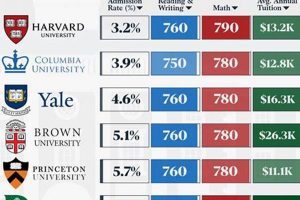 Top Ivy League Law Schools: Best Guide Best Schools in America: Top Public & Private Options Top Ivy League Law Schools: Best Guide | Best Schools in America: Top Public & Private Options