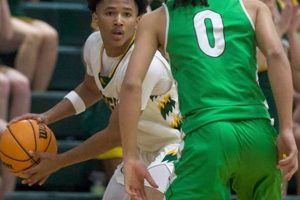 Shelby High School Basketball: Team News & Scores Best Schools in America: Top Public & Private Options Shelby High School Basketball: Team News & Scores | Best Schools in America: Top Public & Private Options