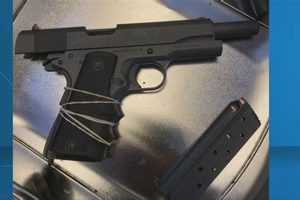 Kilmer Middle School Gun Incident: Updates & Safety Best Schools in America: Top Public & Private Options Kilmer Middle School Gun Incident: Updates & Safety | Best Schools in America: Top Public & Private Options
