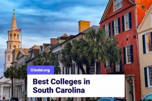 Top Business Schools in South Carolina 2024 Best Schools in America: Top Public & Private Options Top Business Schools in South Carolina 2024 | Best Schools in America: Top Public & Private Options