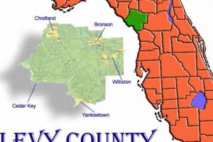 Find Levy County Schools Employment & Jobs Best Schools in America: Top Public & Private Options Find Levy County Schools Employment & Jobs | Best Schools in America: Top Public & Private Options